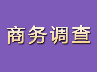 高邮商务调查